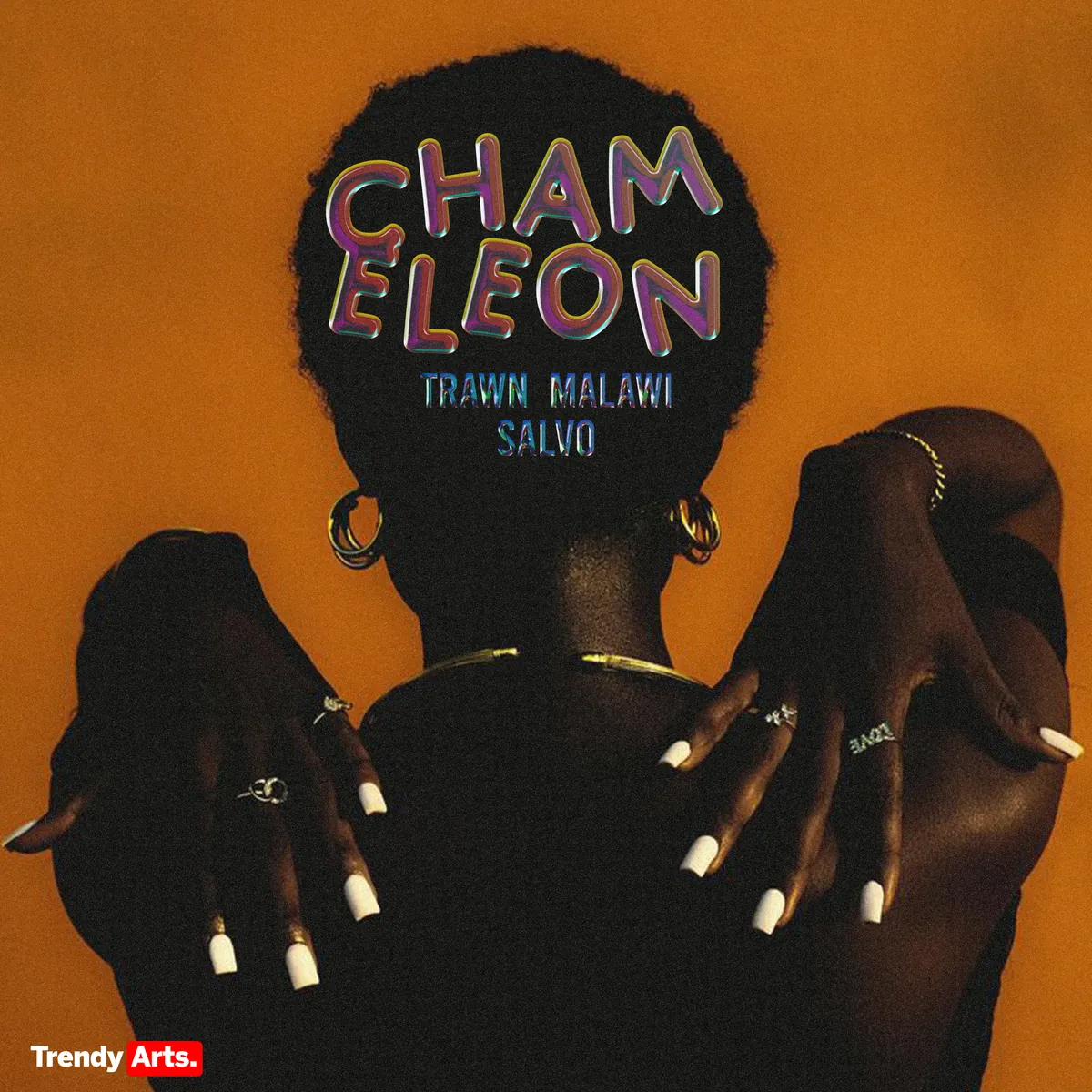 Chameleon ft. Salvo