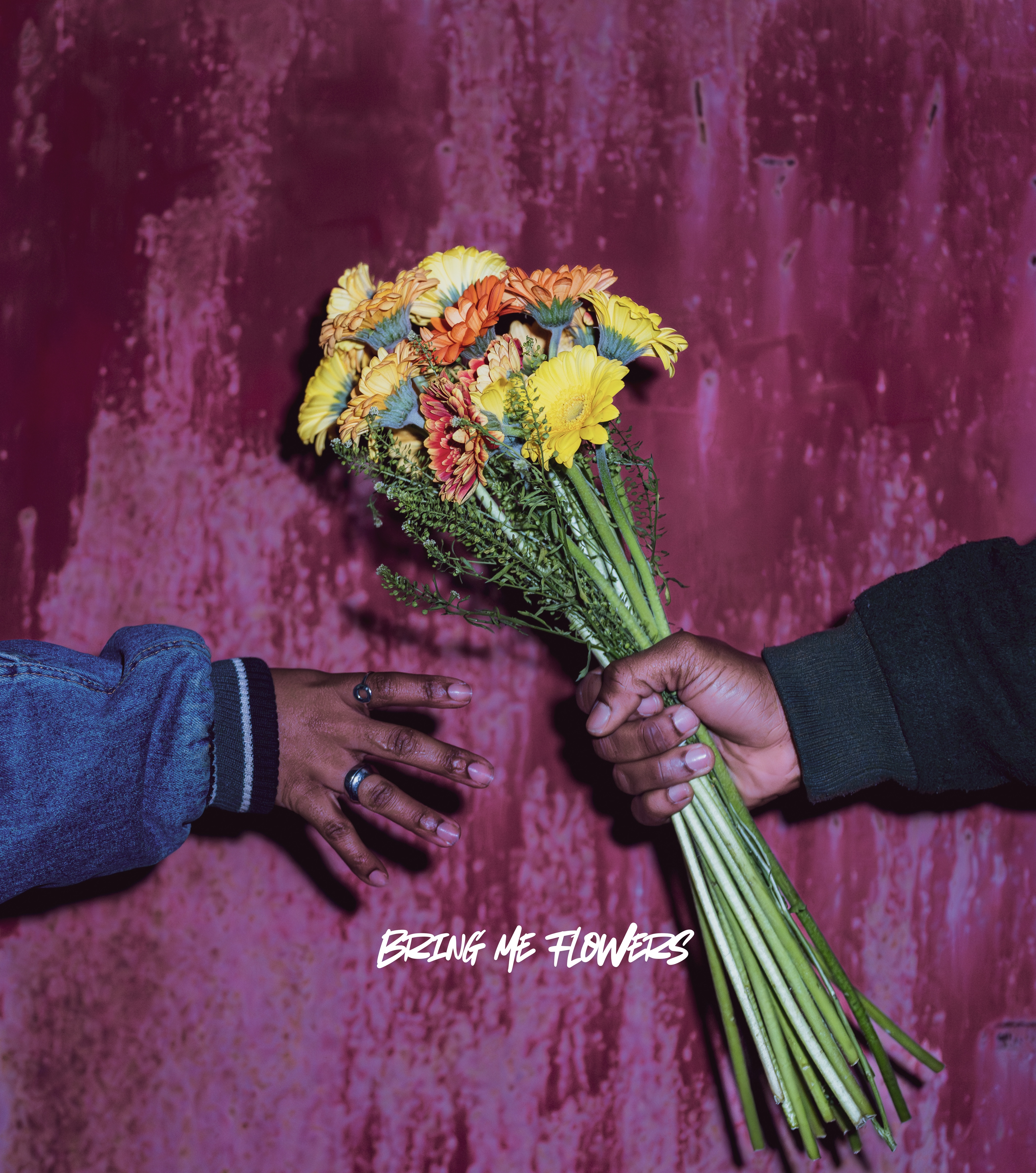 Bring Me Flowers (Jazz remix) - West Cole x Heisliv
